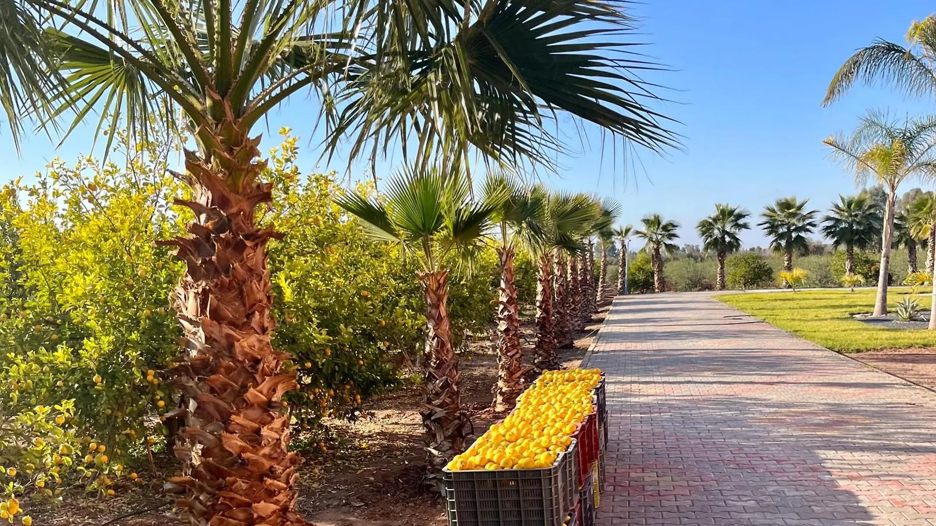 Villa Domaine Bahi à Marrakesh